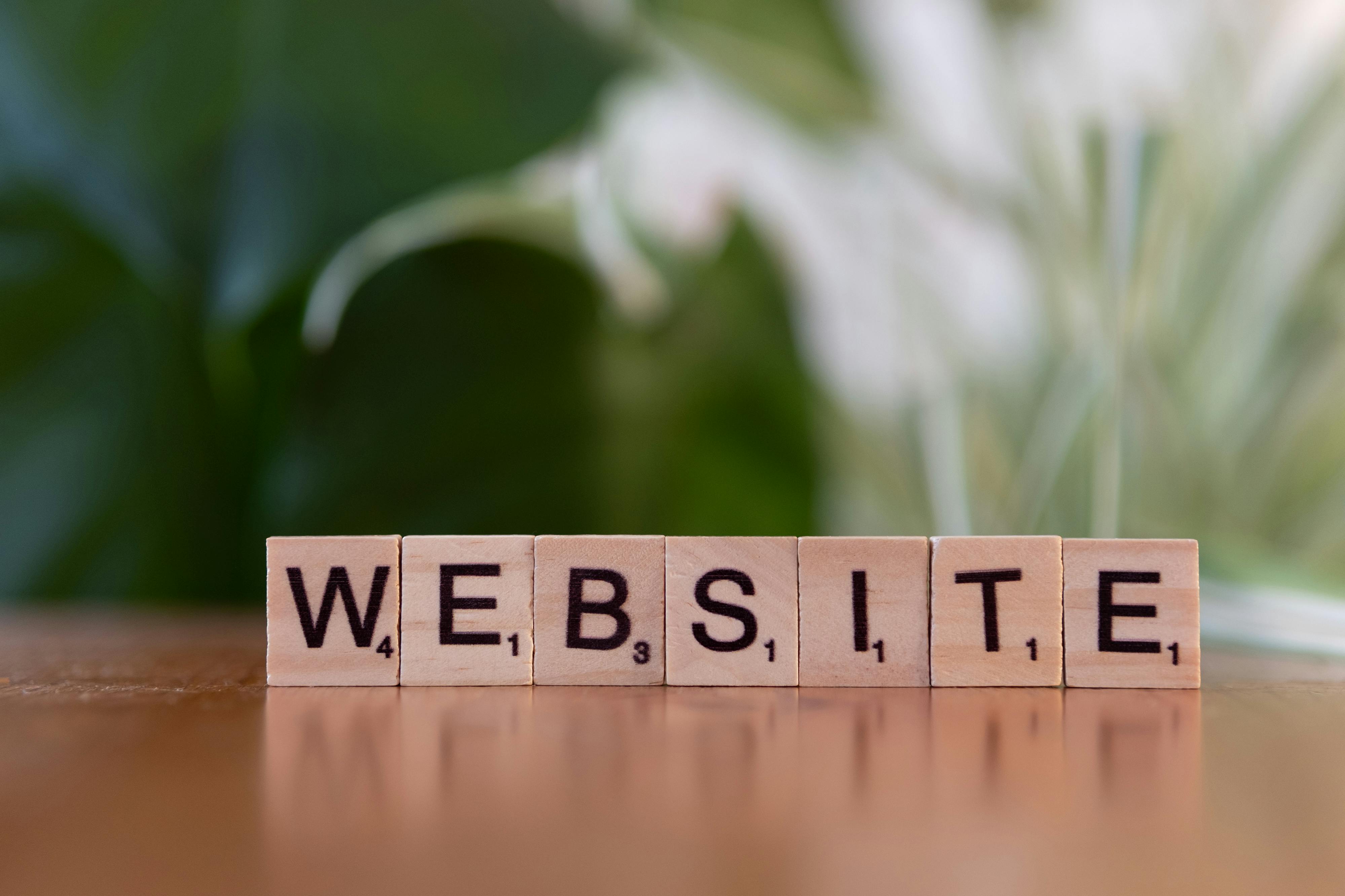 Web development services India 1